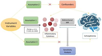 Circulating inflammatory cytokines influencing schizophrenia: a Mendelian randomization study